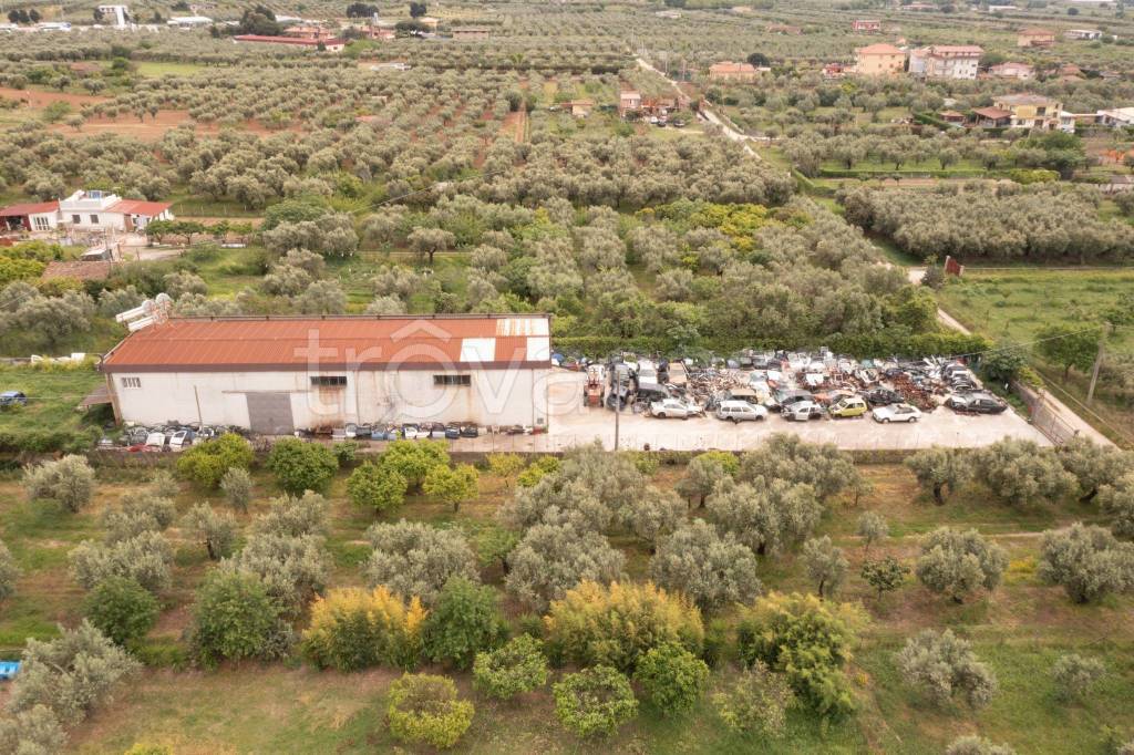 immagine annuncio 3 di 7
