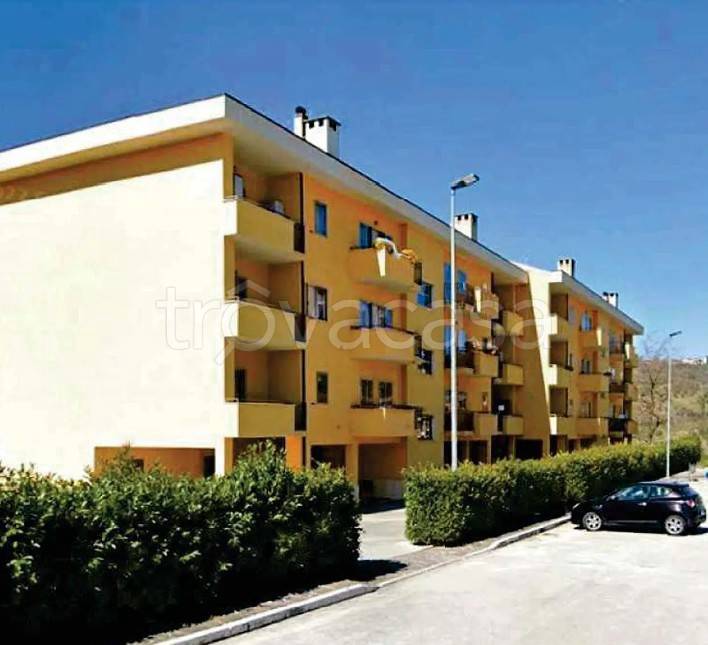immagine annuncio 2 di 12