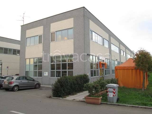 immagine annuncio 6 di 8