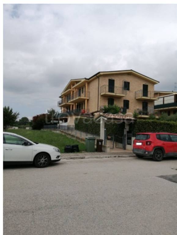immagine annuncio 7 di 13