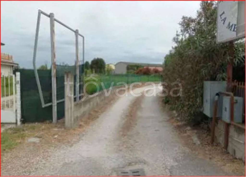 immagine annuncio 6 di 11