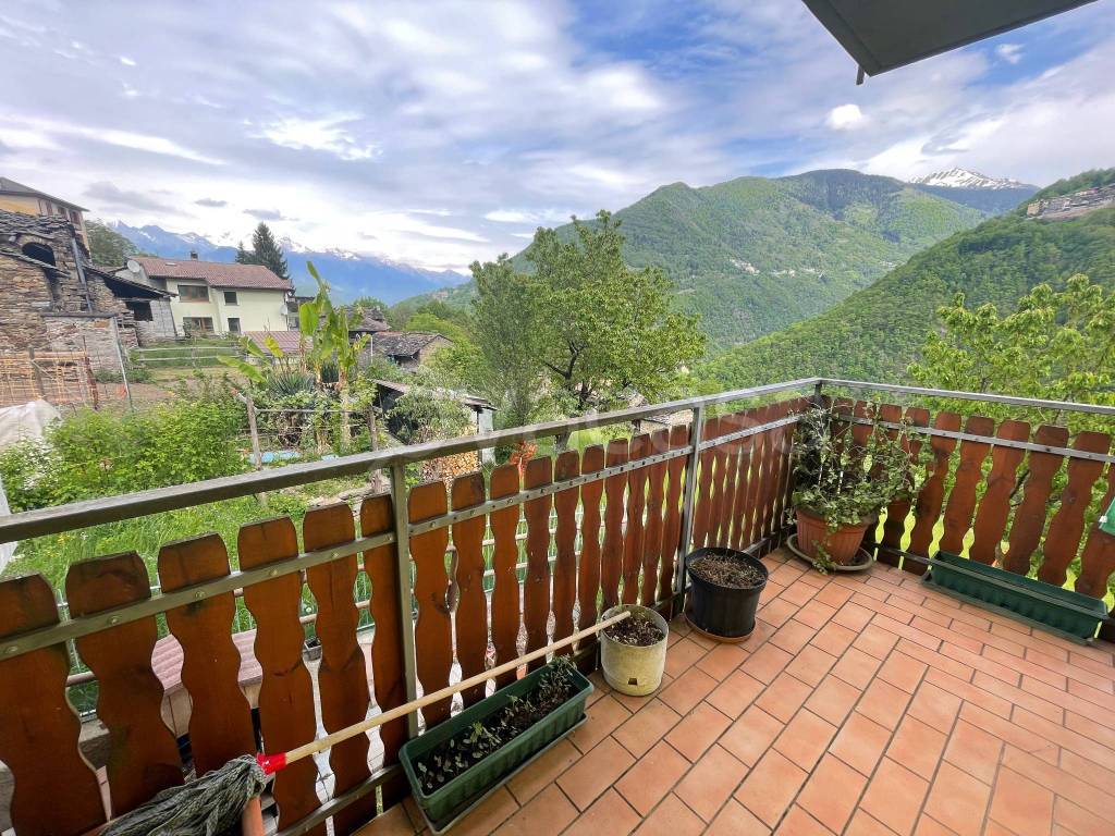 immagine annuncio 2 di 13