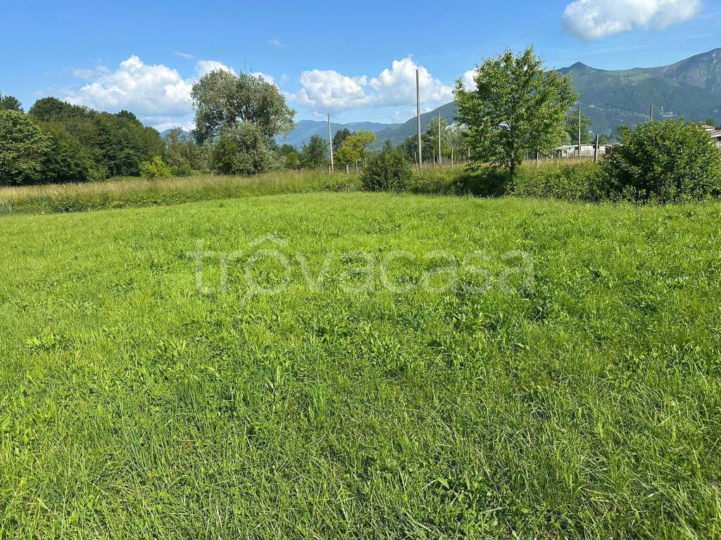 immagine annuncio 11 di 12