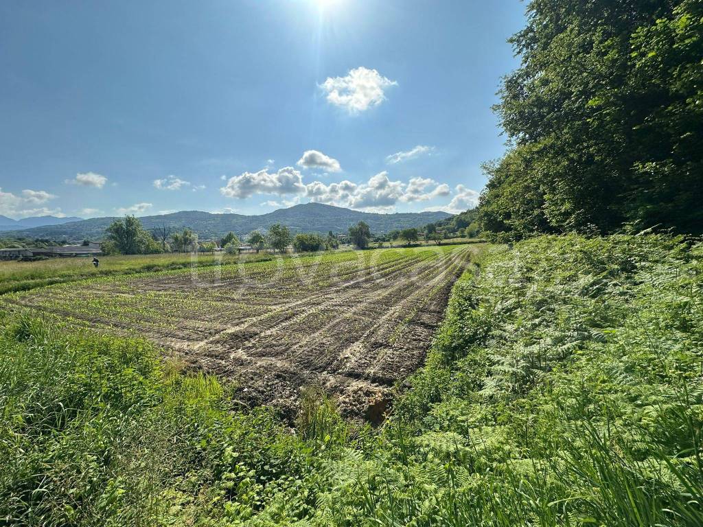 immagine annuncio 11 di 14
