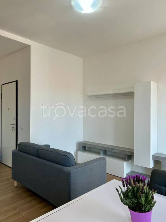 immagine annuncio 3 di 14