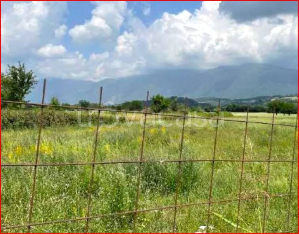 immagine annuncio 3 di 12