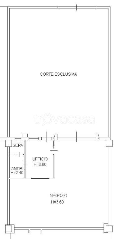 immagine annuncio 4 di 8