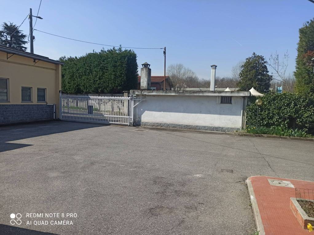 immagine annuncio 2 di 12
