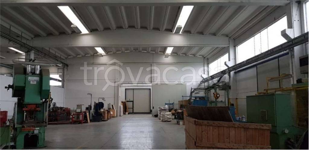 immagine annuncio 3 di 8