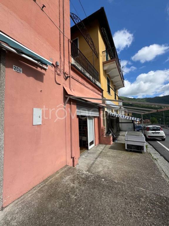 immagine annuncio 5 di 7