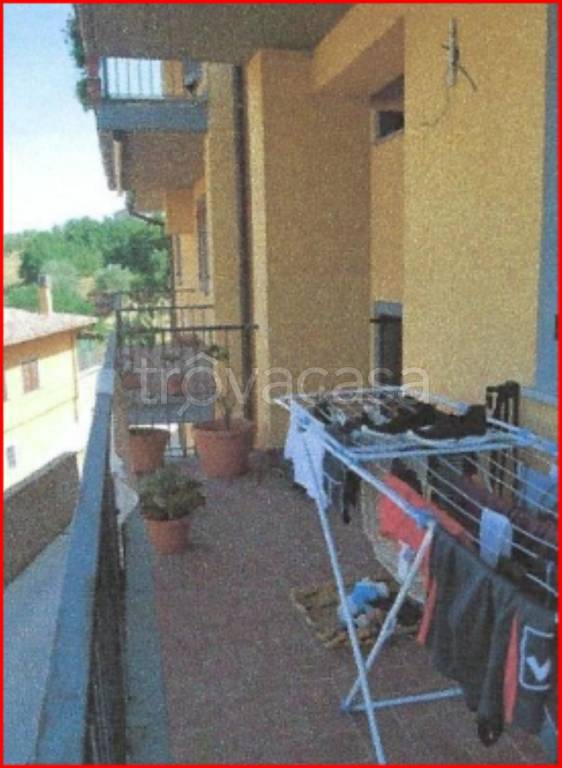 immagine annuncio 7 di 14