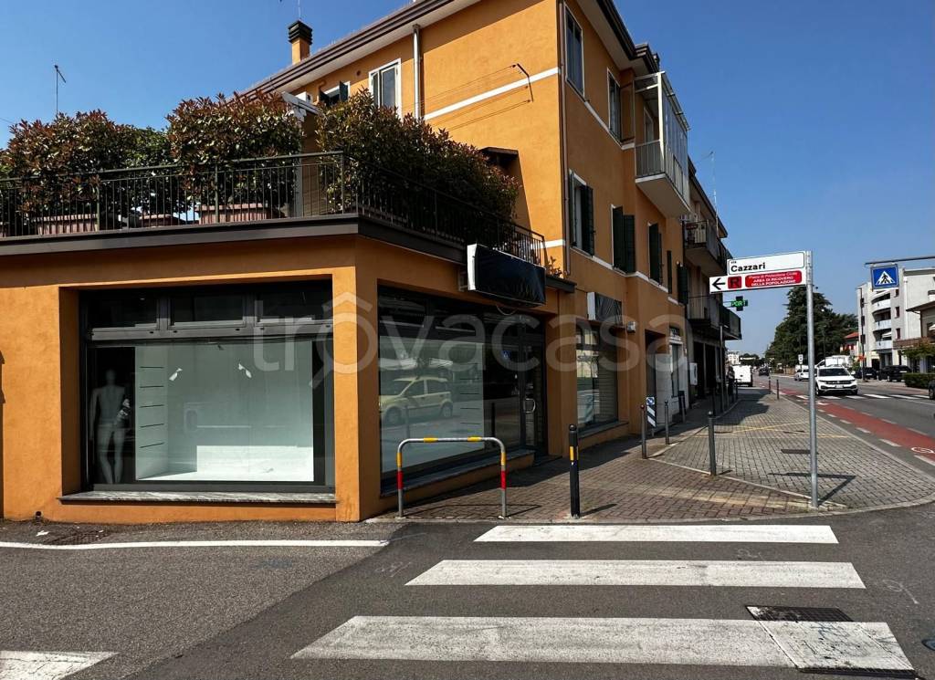 immagine annuncio 5 di 14