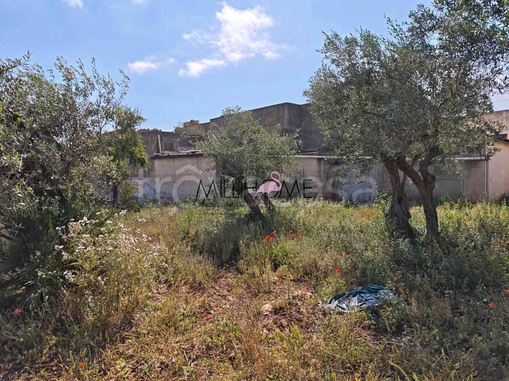 immagine annuncio 6 di 9