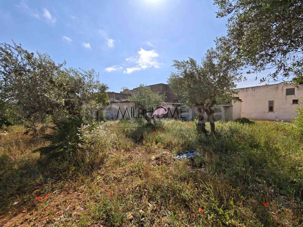 immagine annuncio 7 di 9