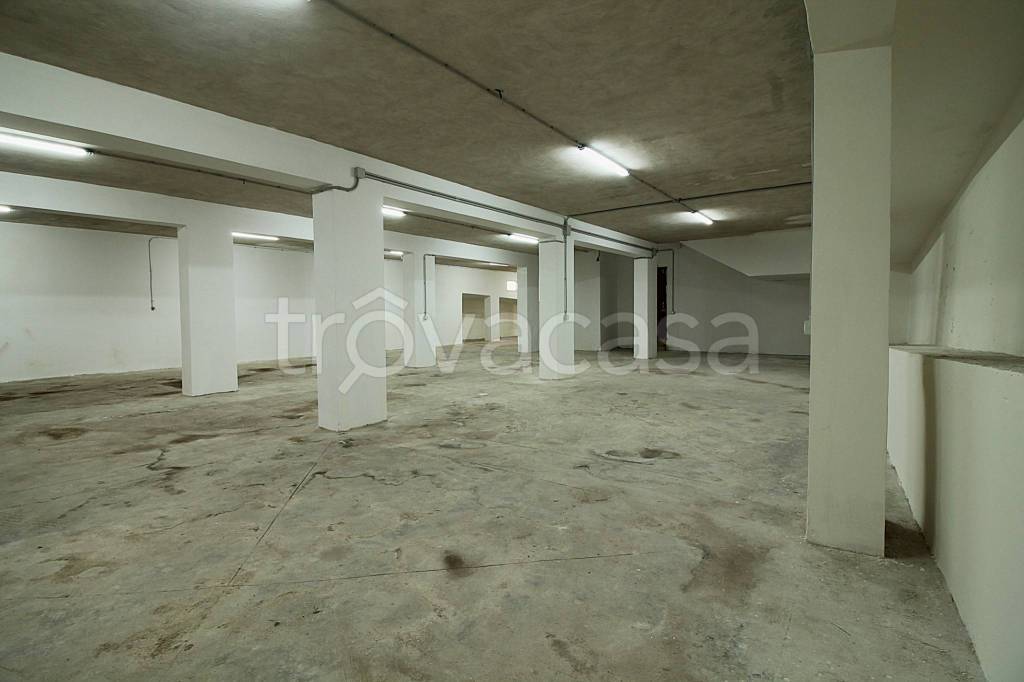 immagine annuncio 9 di 12