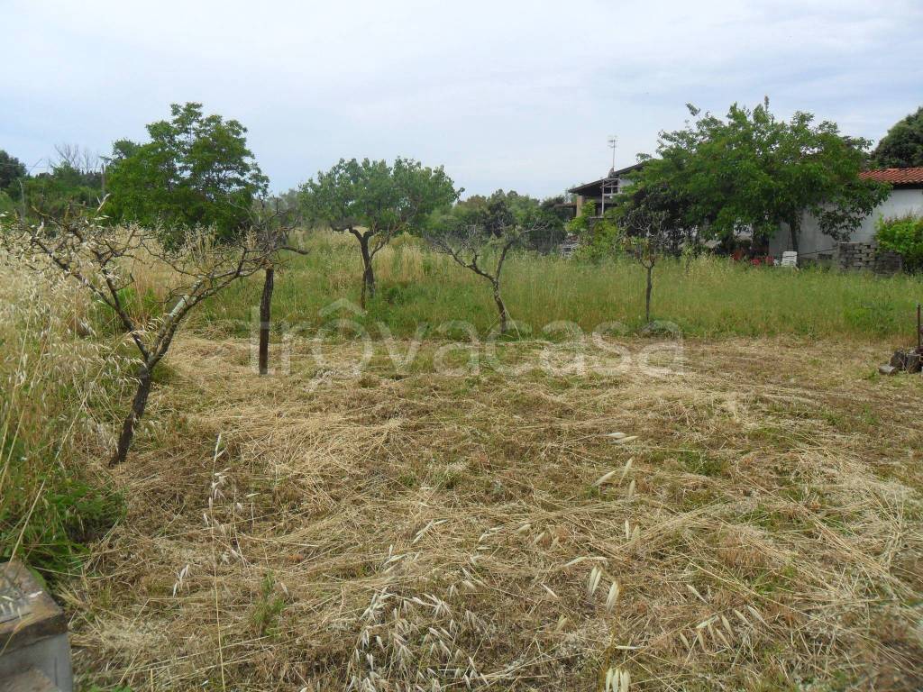 immagine annuncio 8 di 11