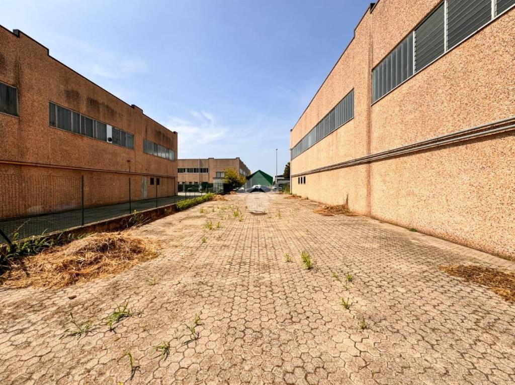 immagine annuncio 4 di 15