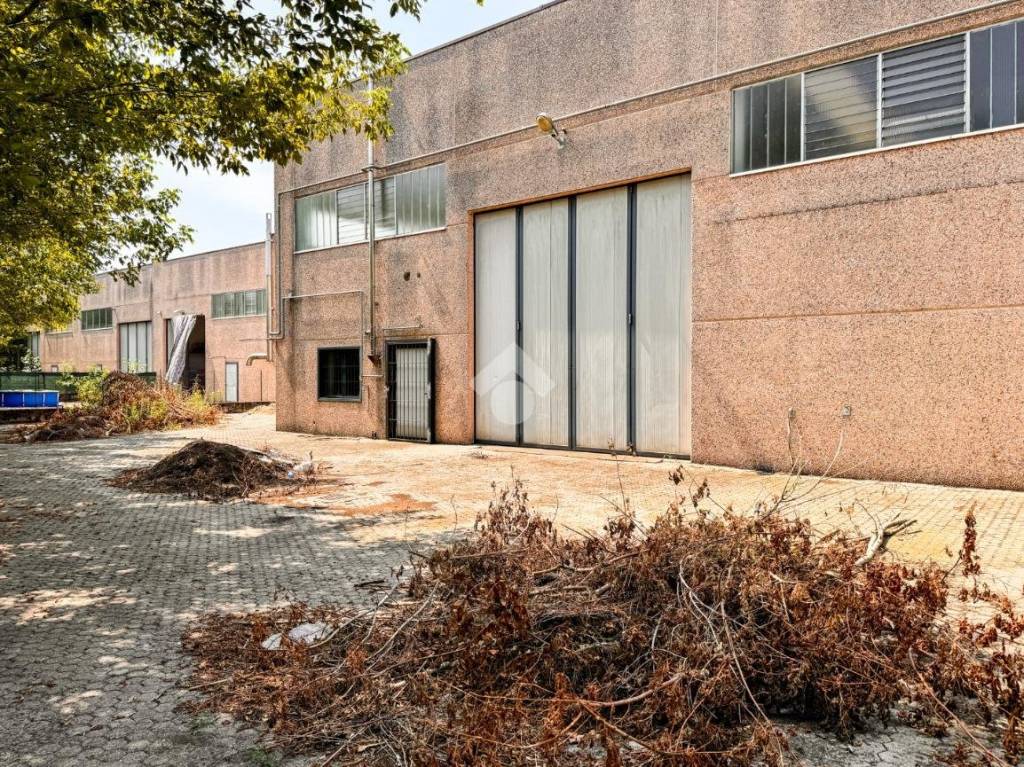 immagine annuncio 12 di 15