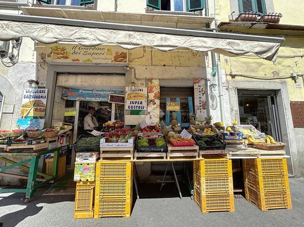 immagine annuncio 12 di 14
