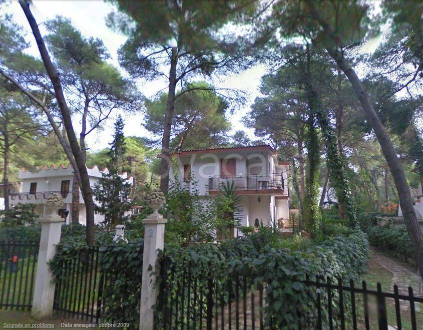 immagine annuncio 4 di 10