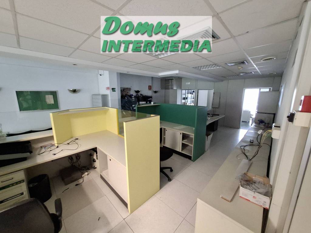 immagine annuncio 2 di 13