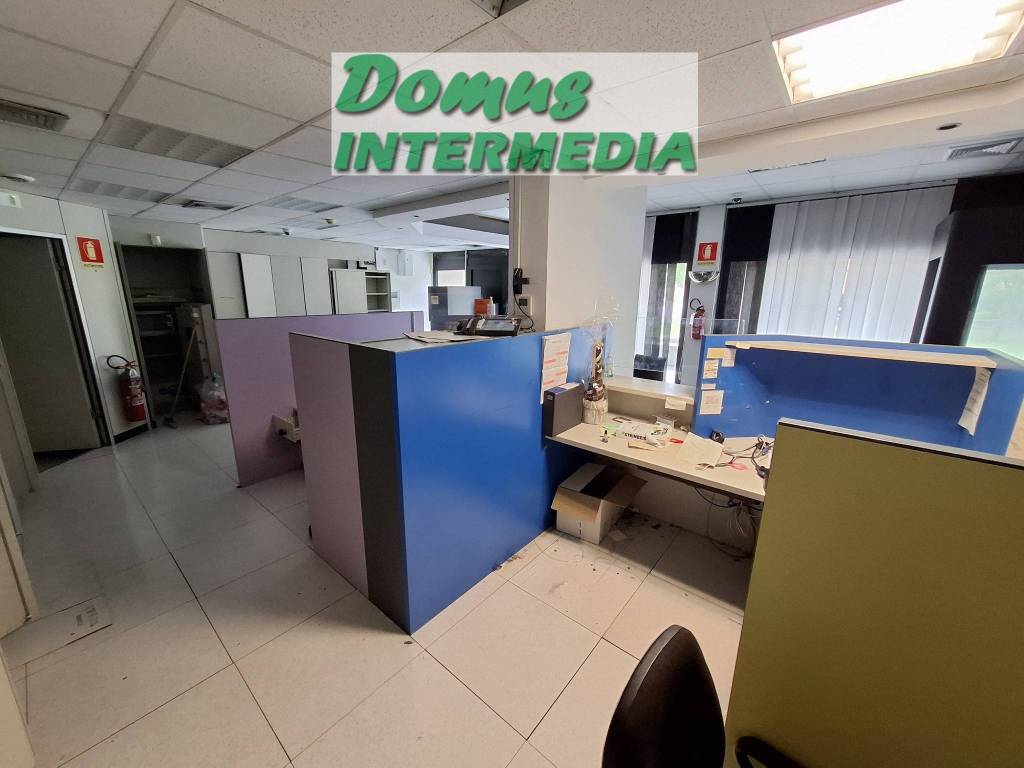 immagine annuncio 3 di 13