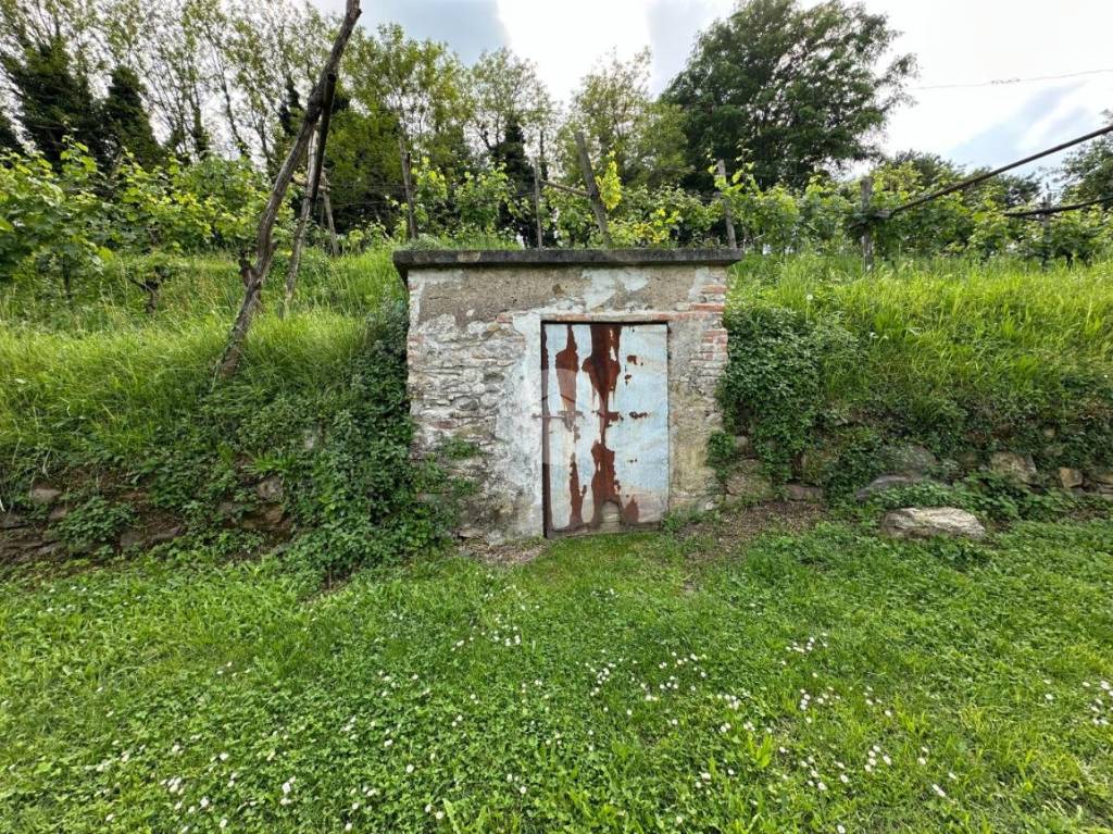 immagine annuncio 6 di 11