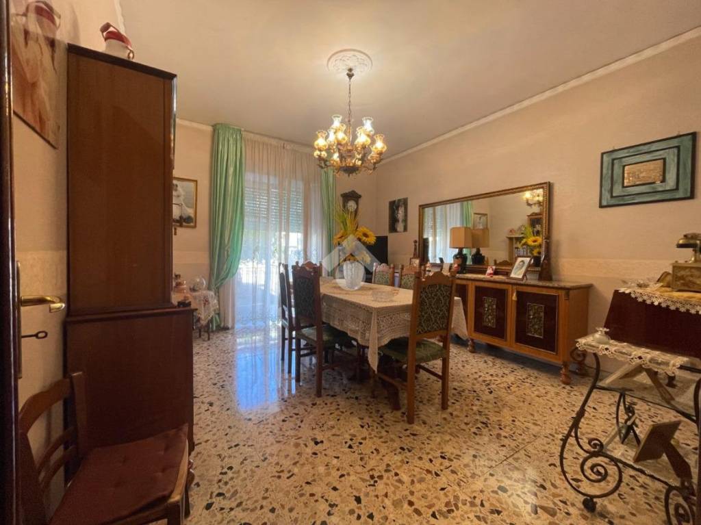 immagine annuncio 7 di 14