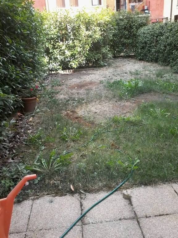 immagine annuncio 1 di 3