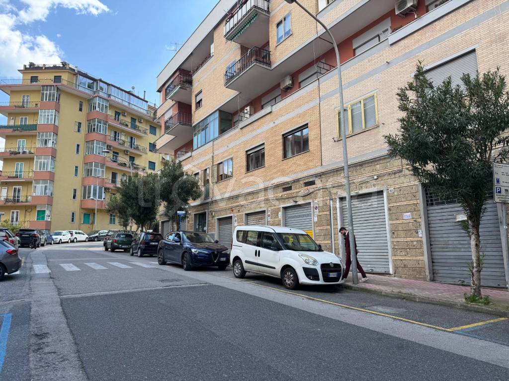 immagine annuncio 2 di 9