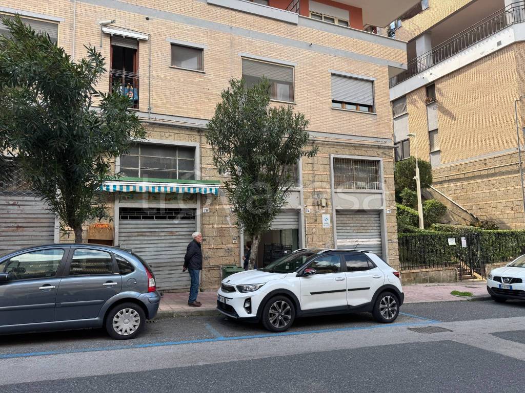 immagine annuncio 3 di 9
