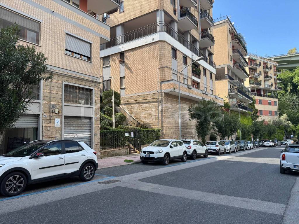 immagine annuncio 4 di 9