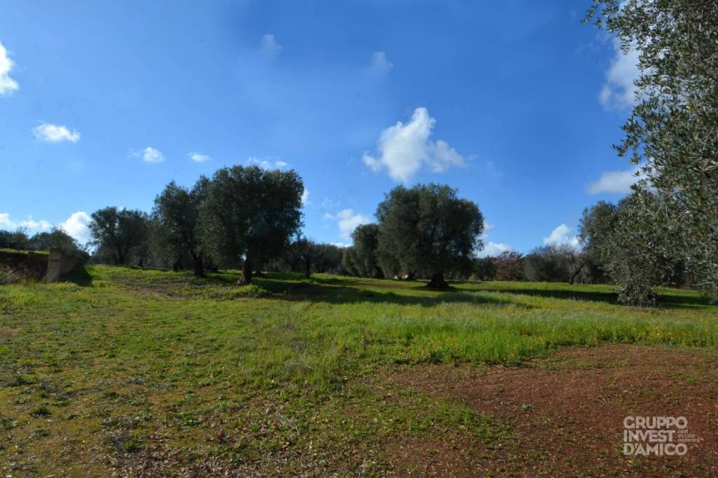 immagine annuncio 6 di 8