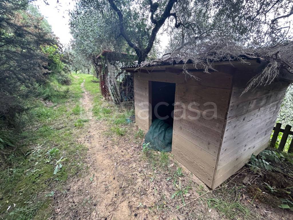 immagine annuncio 8 di 15