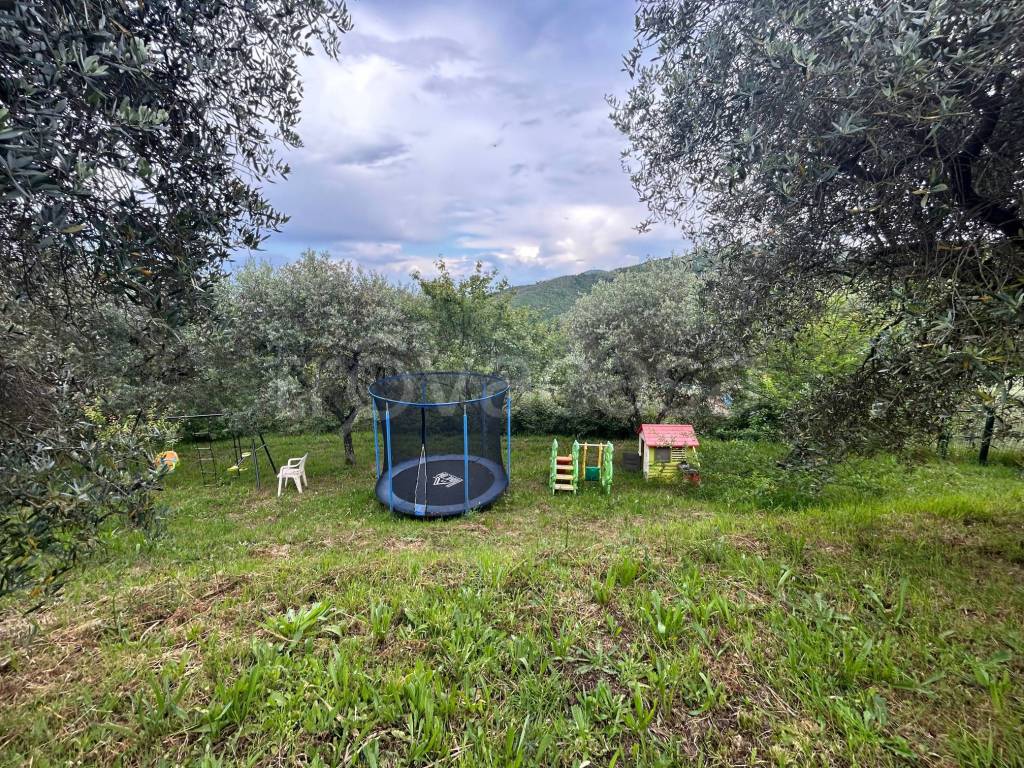 immagine annuncio 12 di 15