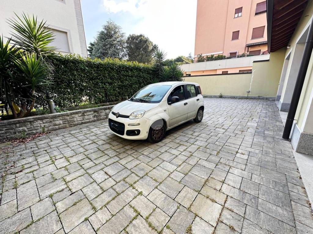 immagine annuncio 9 di 15