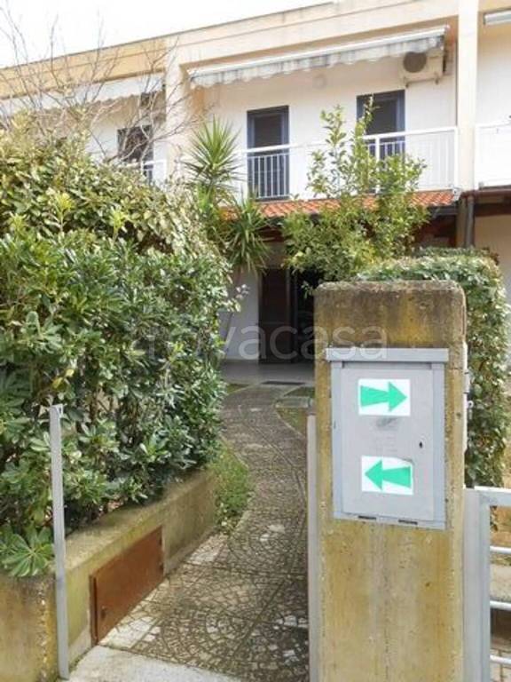 immagine annuncio 2 di 14