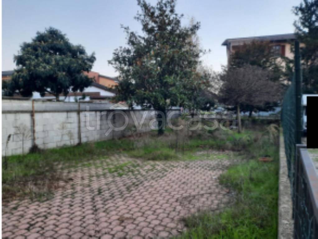 immagine annuncio 7 di 11