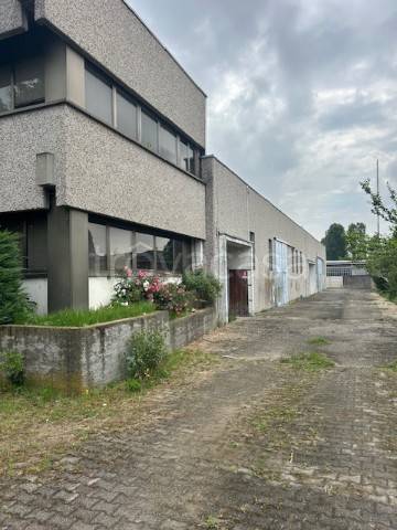 immagine annuncio 4 di 15