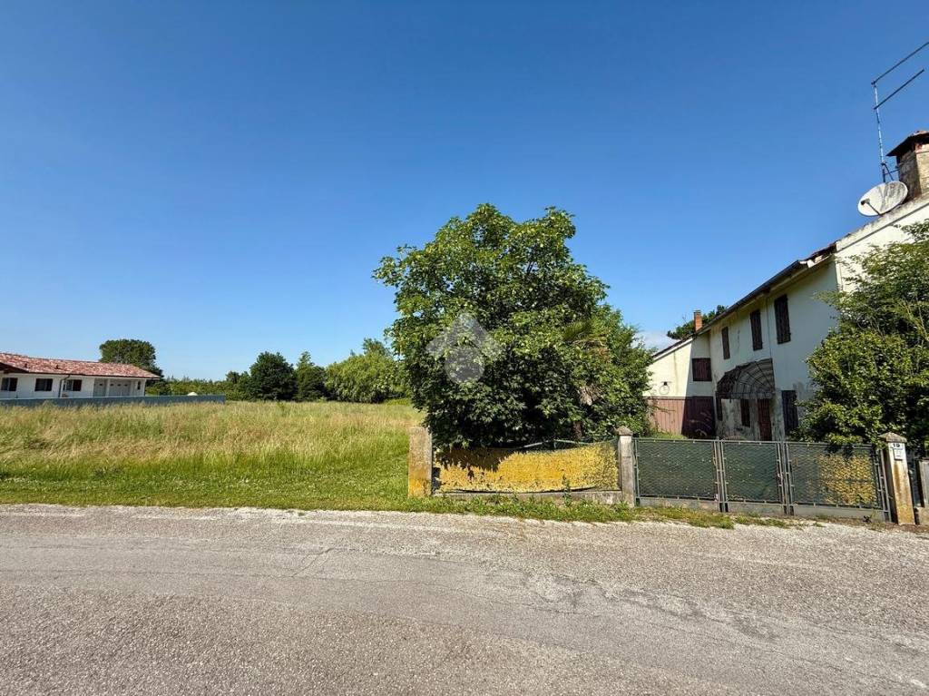 immagine annuncio 4 di 14