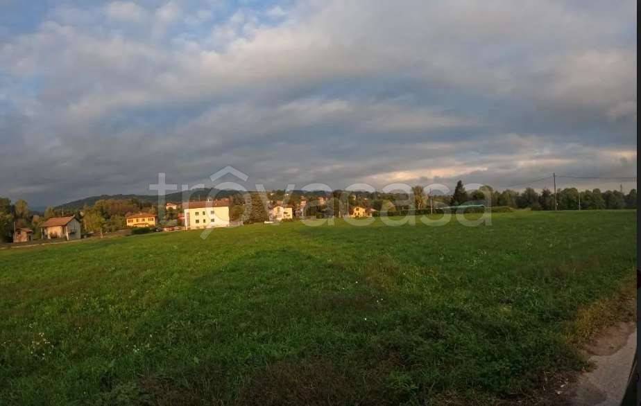 immagine annuncio 6 di 13