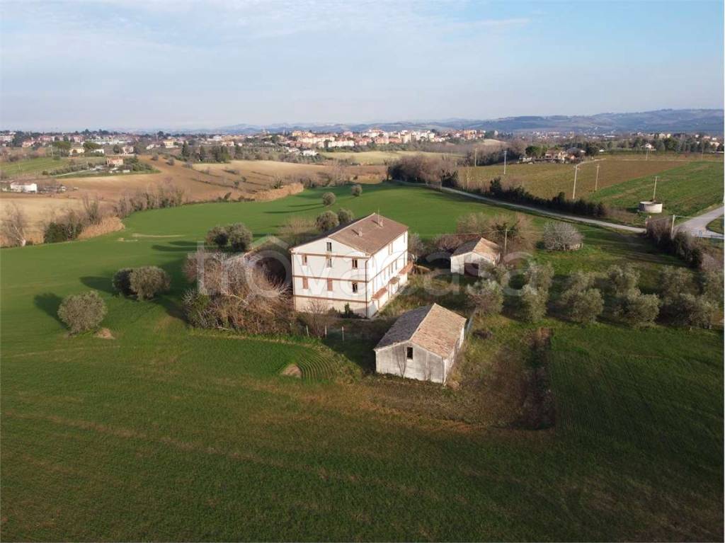 immagine annuncio 5 di 13
