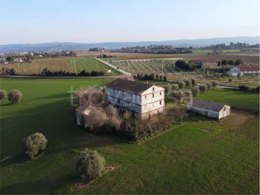 immagine annuncio 6 di 13