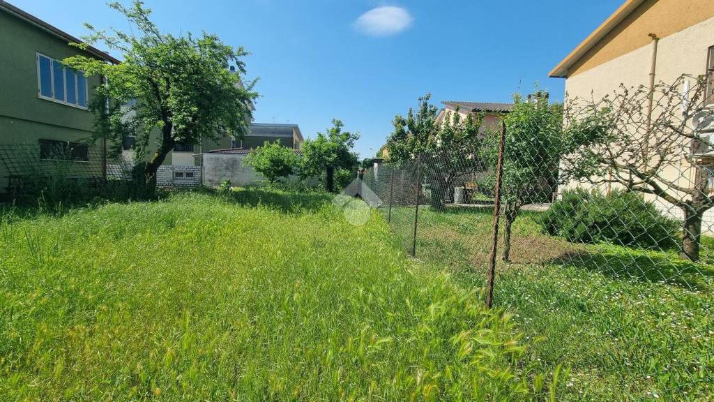 immagine annuncio 3 di 11