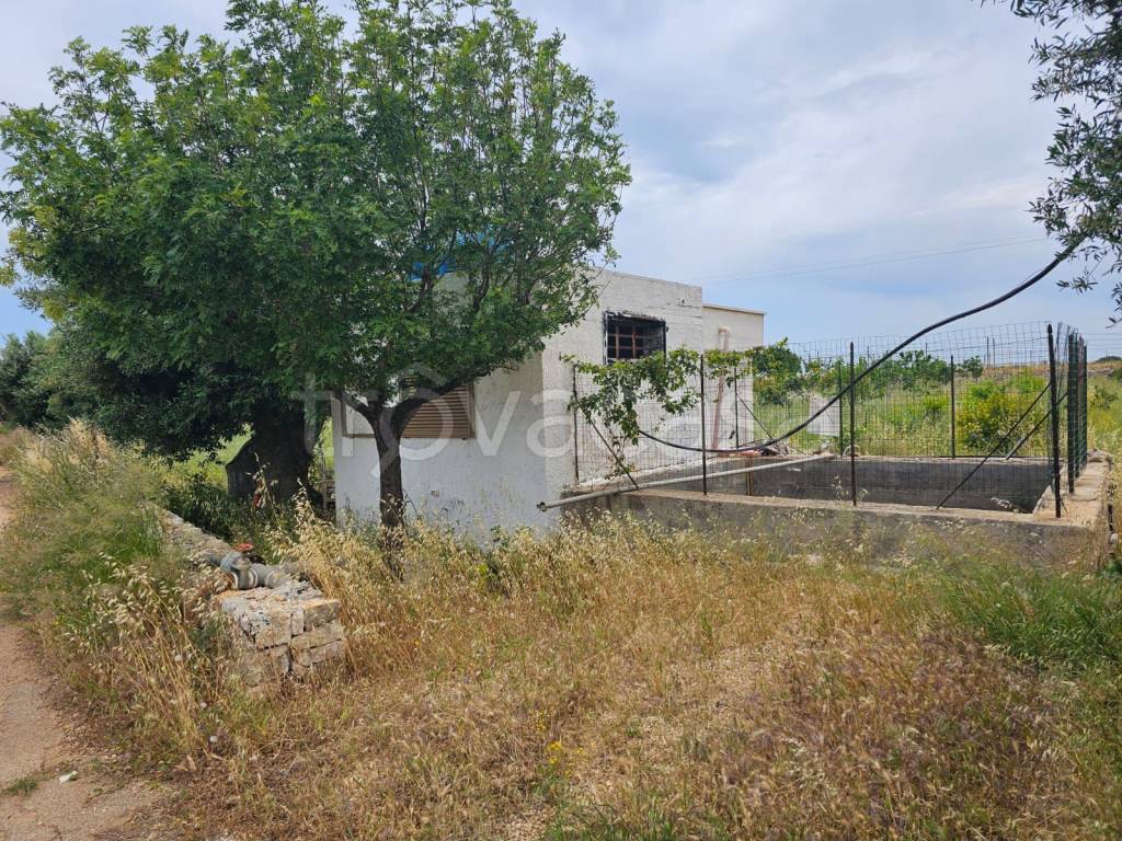 immagine annuncio 2 di 7