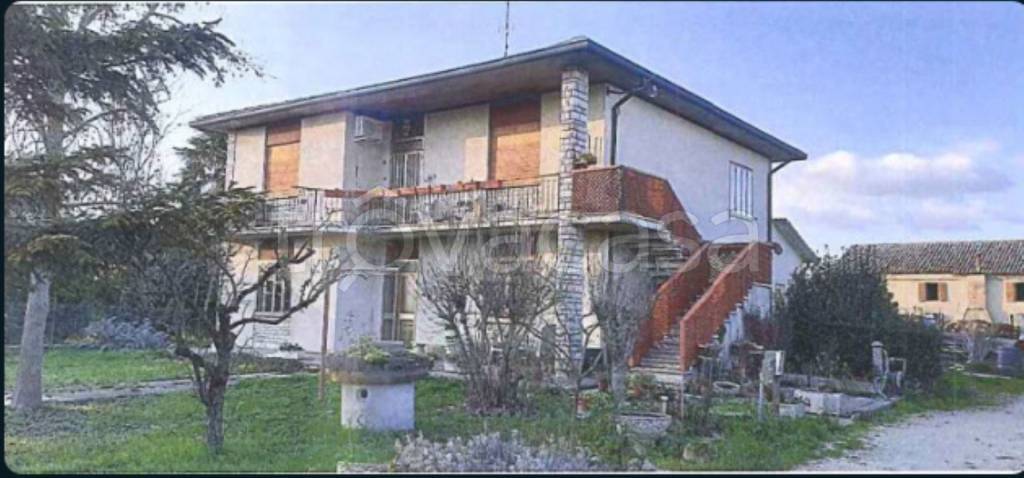 immagine annuncio 2 di 12