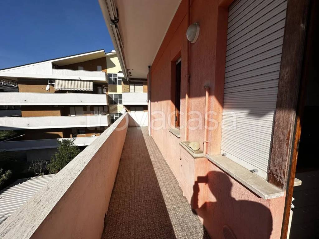 immagine annuncio 9 di 14