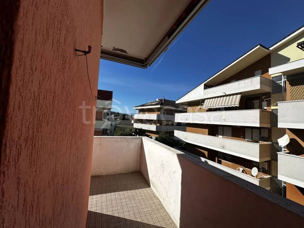 immagine annuncio 12 di 14