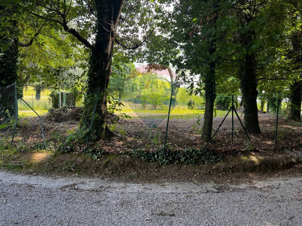 immagine annuncio 3 di 14