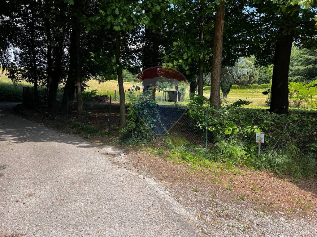 immagine annuncio 4 di 14